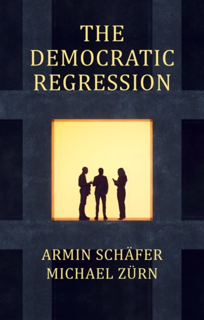The Democratic Regression by Armin Schafer (Paperback Book)