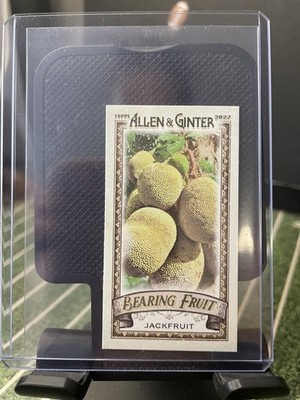 2022 Topps Allen And Ginter Mini Bearing Fruit Jackfruit Card #BF-10 