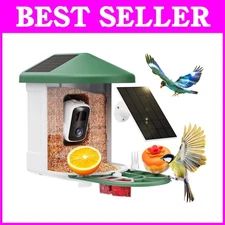 Smart Bird Feeder Camera with AI Identify Birds - Green