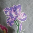 Bild 7 von 12