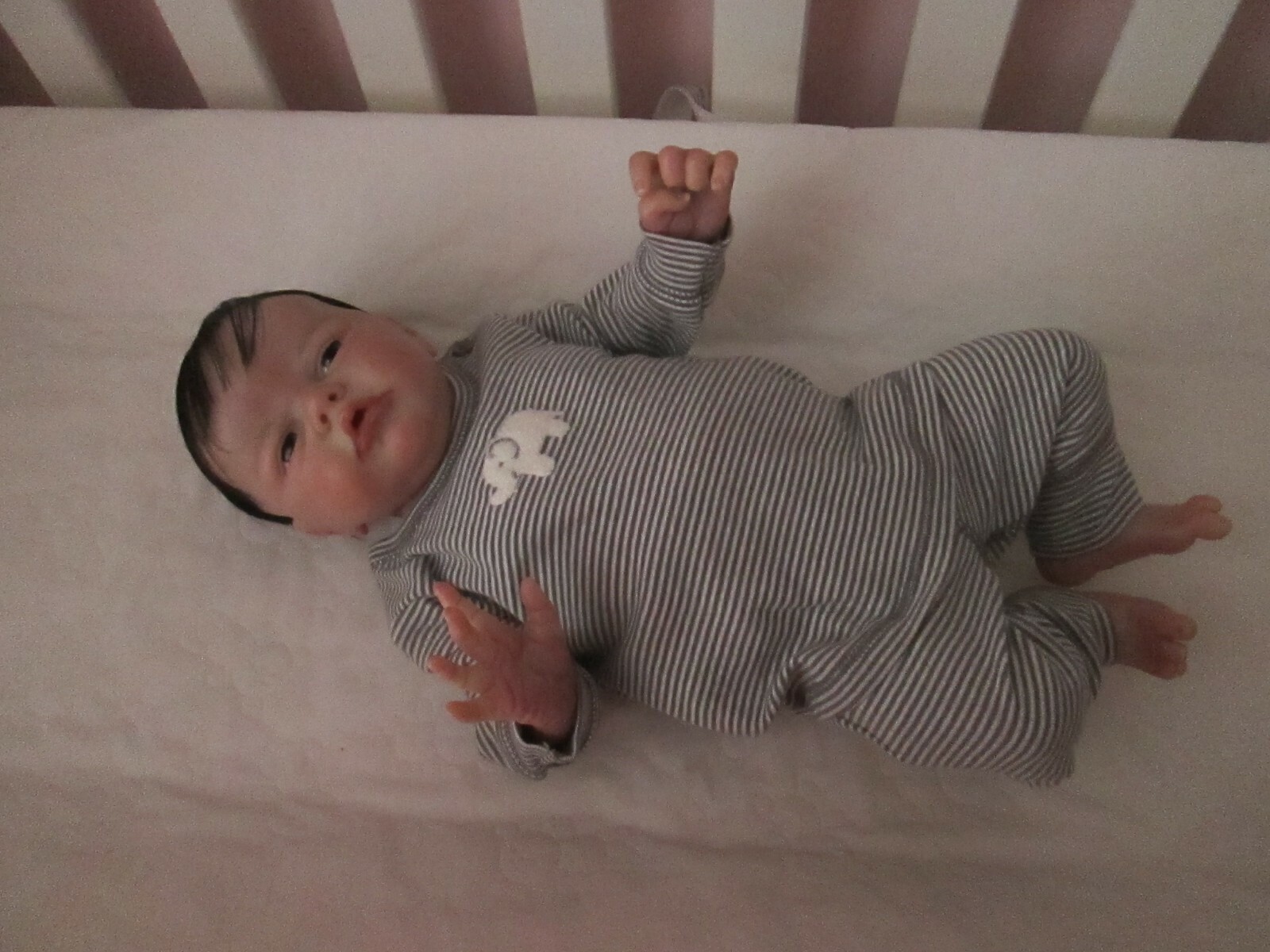 reborn atticus laura lee eagles