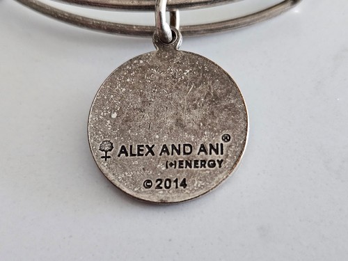 2014 Alex and Ani Like a Sister to Me Adjustable Charm Bangle Bracelet in Box - Picture 5 of 9