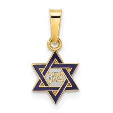 14k Yellow Gold Polished and Enameled Solid Star of David Pendant Gift for Women