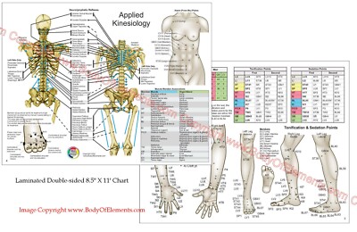 Applied Kinesiology Chart Set 8.5
