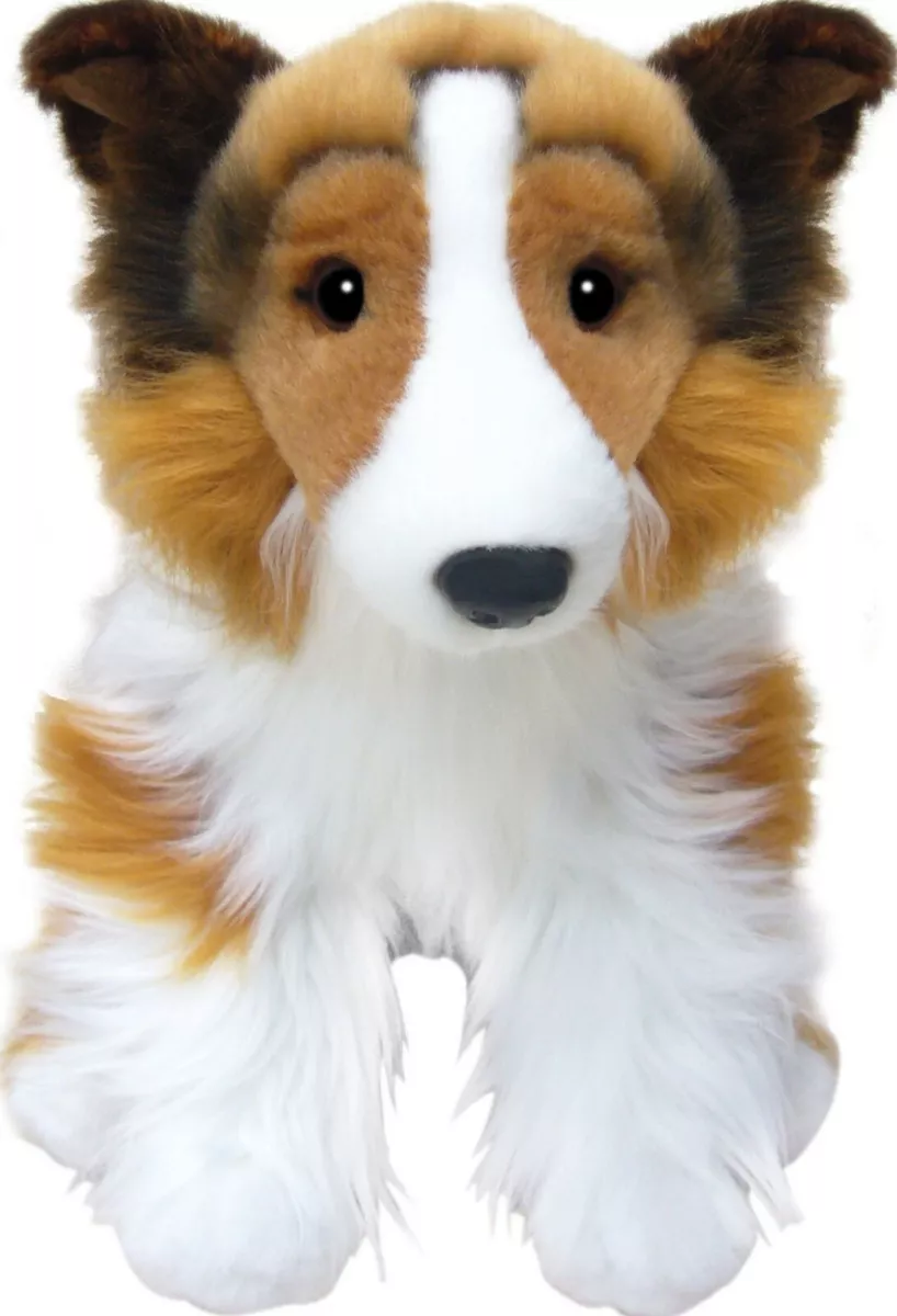 12 Shetland Sheepdog Teddy Sheltie