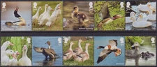 GB 2025  DUCKS MINT STAMPS  *SPECIAL PRICE* MINT NOT HINGED MNH
