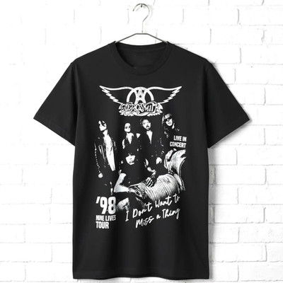 Aerosmith I Don't Want to Miss a Thing Men's T Shirt
