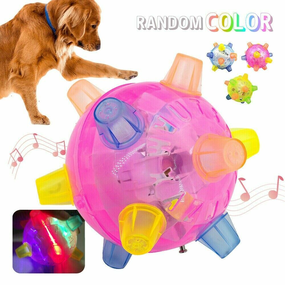 jumping joggle bopper for dogs