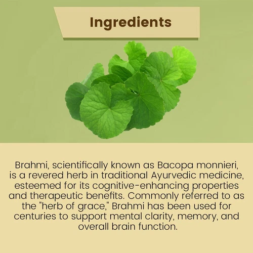 Kottakkal Ayurveda Brahmi Ghritam (150g) Herbal Ayurvedic Mind Wellness - Picture 4 of 6