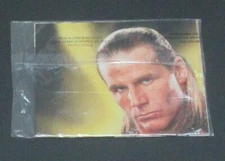 WWE Raw Magazine December 2005 Candice Michelle Sexy Diva Shawn Michaels Poster