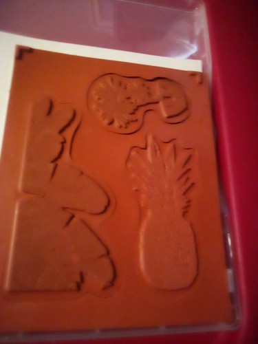 Stampin Up Island Vibes Stamp Set