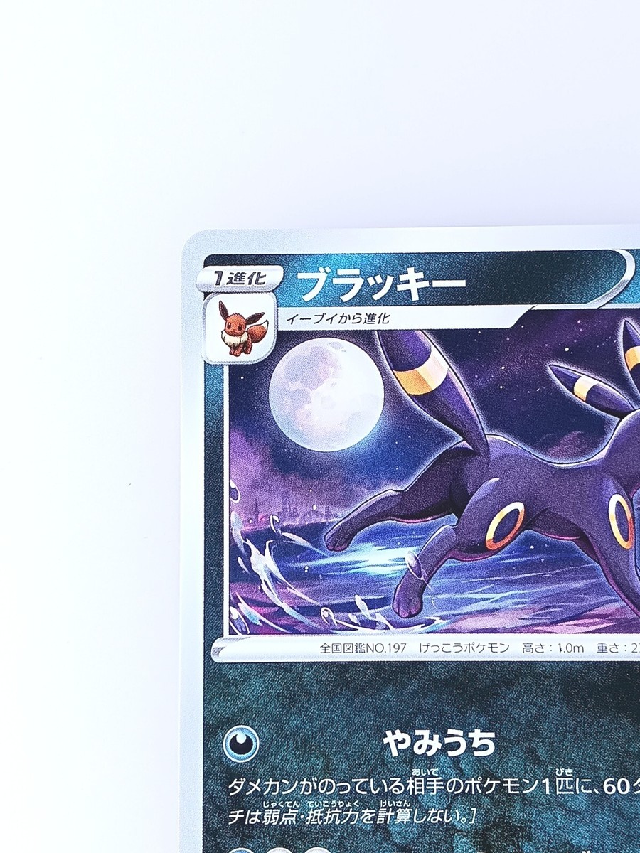 PSA9】ブラッキー 長場 プロモ/Umbreon PROMO PSA10 ブラッキー
