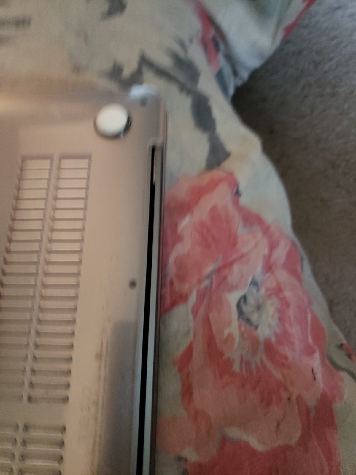 Picture 4 of 4