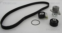 Triscan Wasserpumpe + Zahnriemensatz 8647 280009 FüR 207 Peugeot 1007 C4 CitroËN