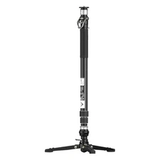 YC Onion MQC158 PINETA 2.0