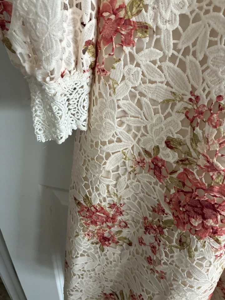 Anthropologie Champagne And Strawberry Crochet Romance Floral Dress M - Image 4 of 4