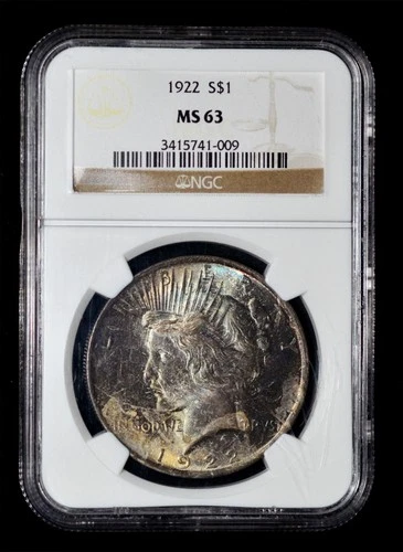 NGC MS63 1922 Silver Peace Dollar Dark Toning