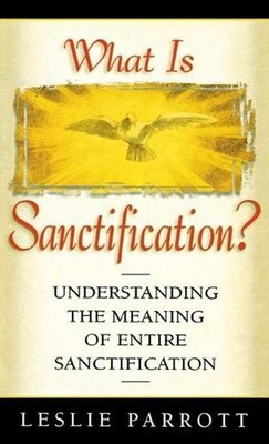 What Is Sanctification?: Understanding the Meaning of Entire Sanctification by D