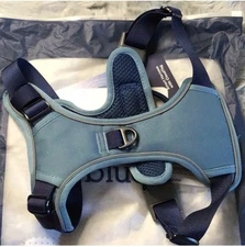 Blue Dog Harness Medium