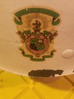 WW2 M1 HELMET LINER WASHINGTON STATE COLLEGE WSU COUGARS ENGINEERING  — photo 4