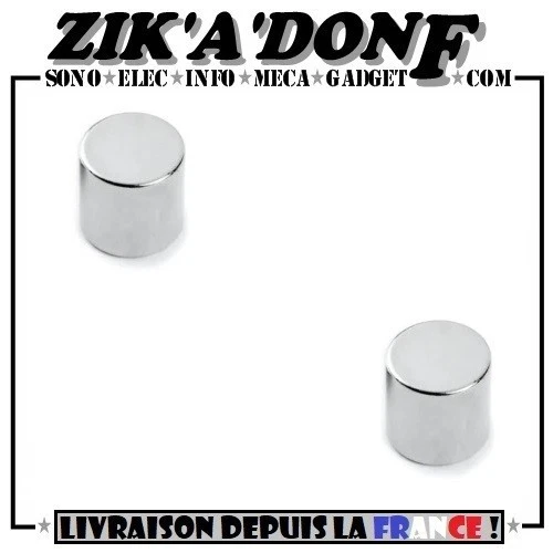 Lot de 2 Aimant pour flotteur réservoir de cafetière SENSEO 6x6mm (Ø6x6mm)