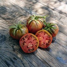 50 BLACK SEA MAN TOMATO SEEDS FRESH HARVEST FOR GARDENS