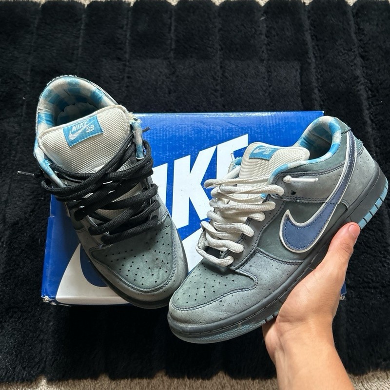 Nike SB Low-Top Skate Shoes Gray/Blue Plaid Lining Mismatched Laces Box