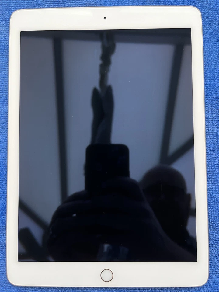 Apple iPad Air 2 128GB WiFi Gold A1566 - Image 2 of 4