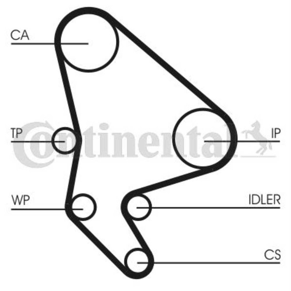 Continental Ctam Wasserpumpe + Zahnriemensatz FüR CitroëN Berlingo MF M_ N68-image