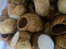 LOT DE 70 COQUILLES