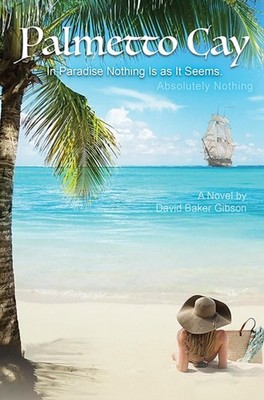 Palmetto Cay: In Paradise Nothing Is as It Seems. Absolutely Nothing by David Ba