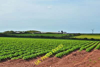 Foto 12x8 Pearson Farm Orlandon Eine Ernte berühmter Pembrokeshire Kartoffeln gr c2015