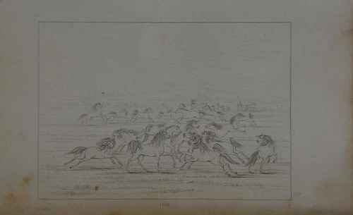 Antique 1840's Native American Engraving Art Wild Horses on the Frontier History