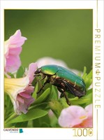 Calvendo Puzzle RosenkäFer Im BlüTenrausch | 1000 Teile Lege-GrößE 64X48Cm Foto-