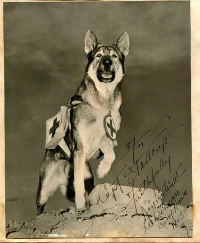 LEE DUNCAN Rin Tin Tin autograph, signed vintage photograph