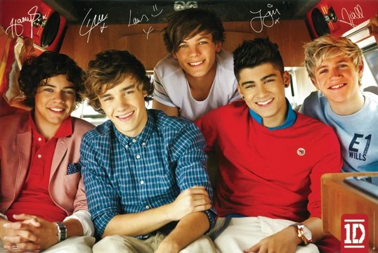 One Direction Poster In Art Posters for sale | eBay