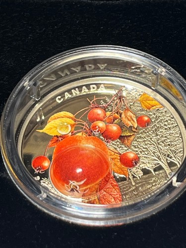 2018 Canada $20 Fine Silver Coin - Mother Nature's Magnification: Morning Dew - Picture 2 of 2