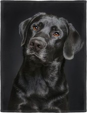 Black Lab Blanket, Gorgeous Labrador Dog Print, Soft Fluffy Fleece Throw 50"X60"