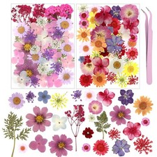 82Pcs Natural Pressed Dried Flowers Resin, Dry for Resin 82pcs 007