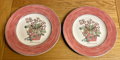 ** 2 x Wedgwood Sarah's Garden - 21 cm Salatteller - Primula Auricula **
