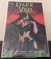 Dark Veil #1 - Kickstarter Cover A Sonia Matas and Cocoaspen - 2024 - NM