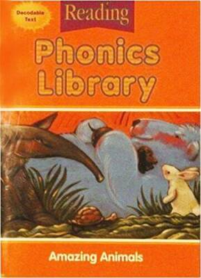 Houghton Mifflin Reading: The Nation's Choice: Phonics Library (8 stories - GOOD