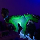 Foto 15 di 22