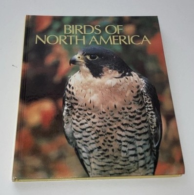 Birds Of North America By Peter Casey 