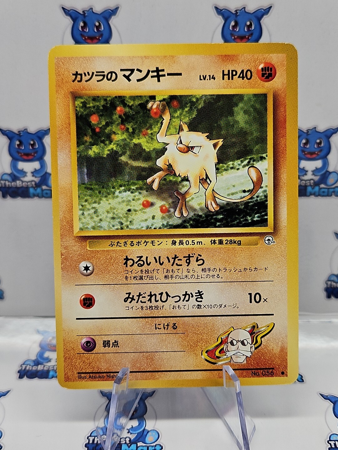 Japanese Pokemon No.56 Brock's Mankey - Gym Leaders Stadium - LP