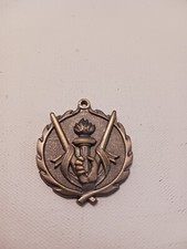 Victory Award Metal Torch Medallion Only
