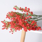 Bild 12 von 25