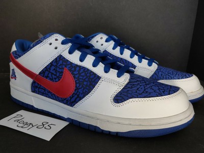 nike sb dunk low 10.5