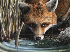 Fox Tile Backsplash Justin Sparks Wildlife Art Ceramic Mural JSA005