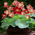 Bild 13 von 25